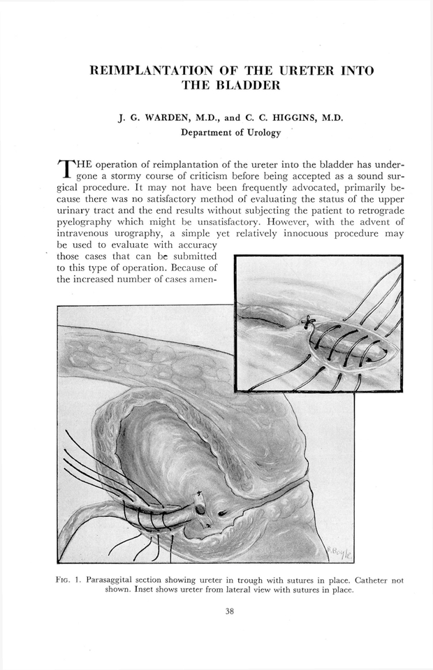 PDF extract preview