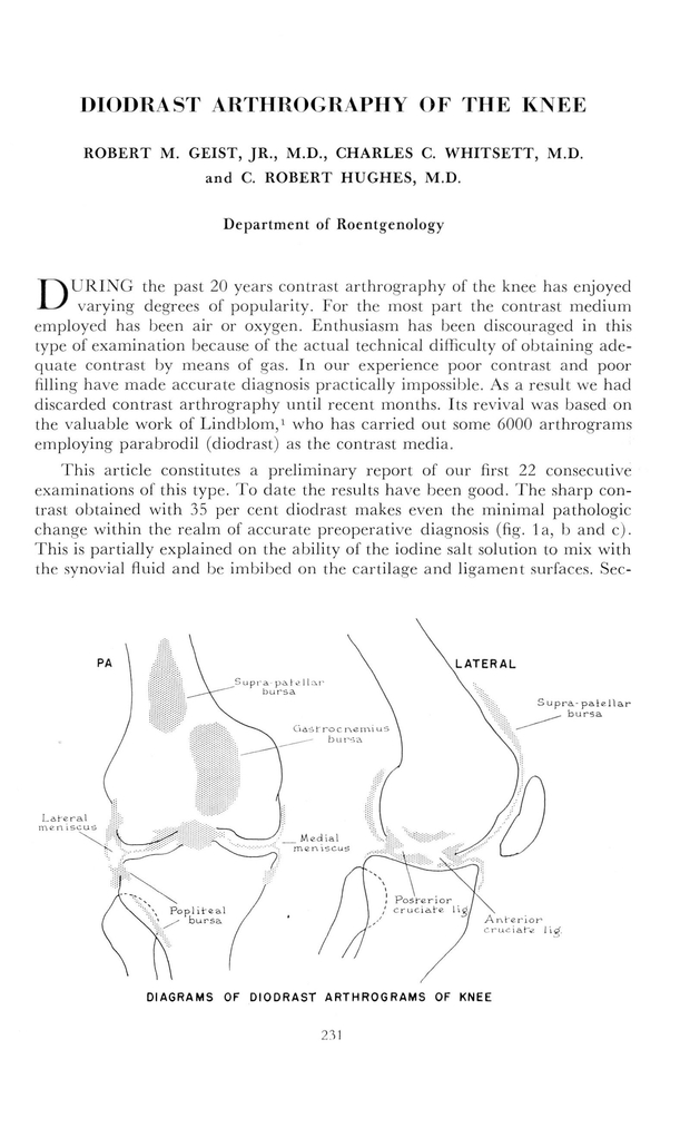 PDF extract preview