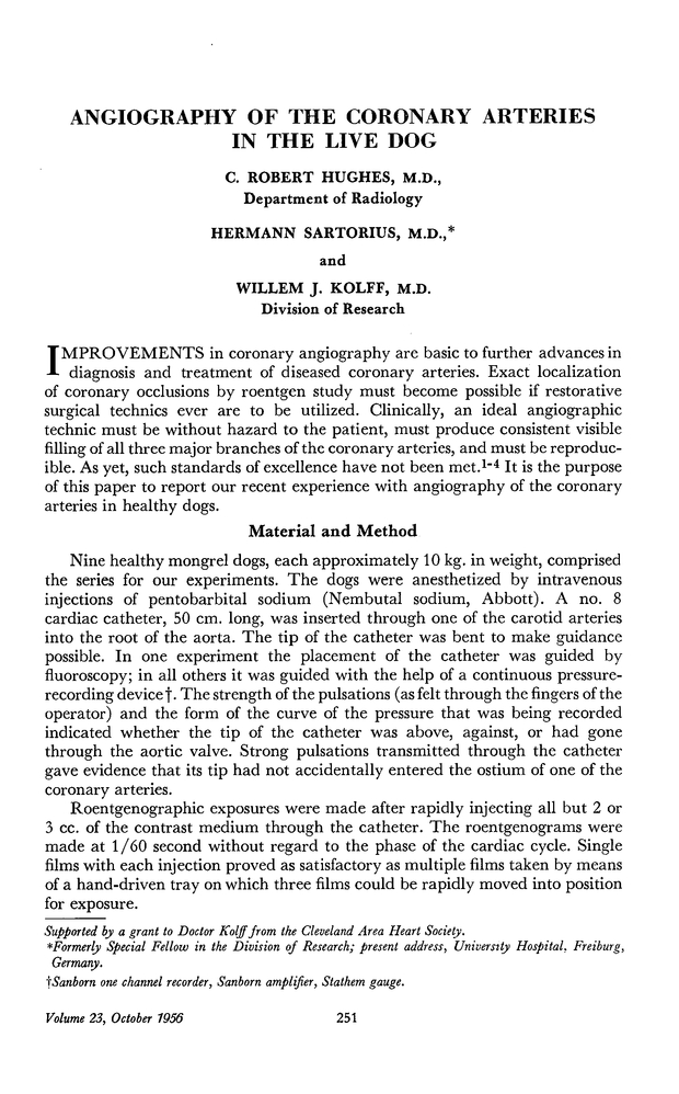 PDF extract preview