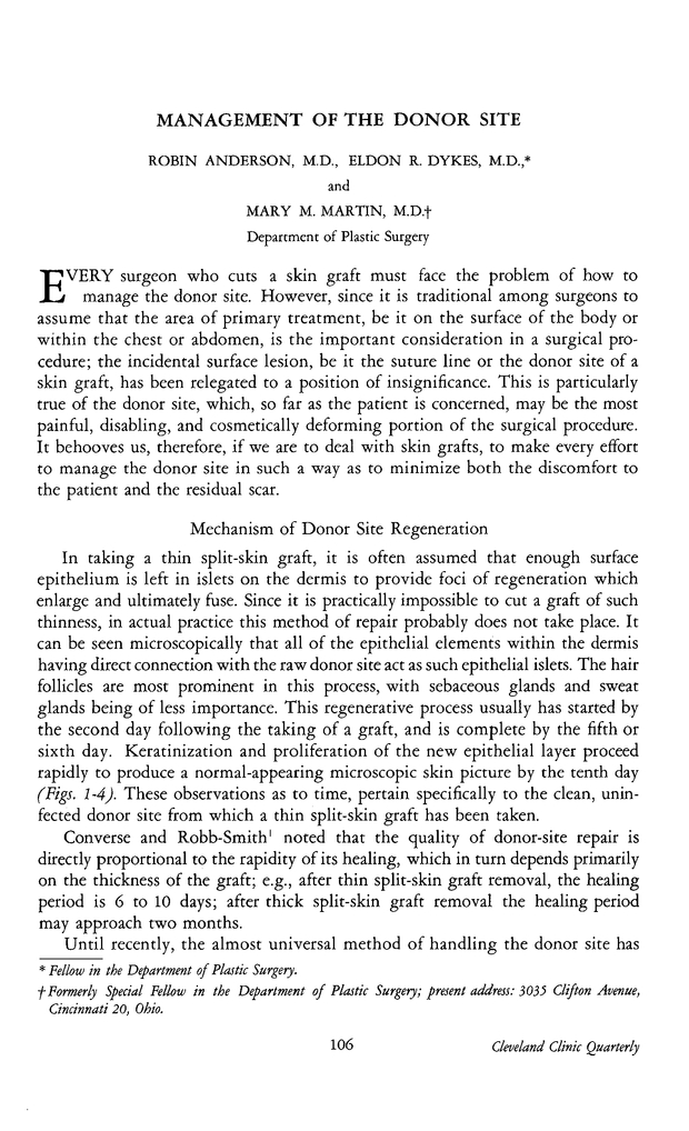 PDF extract preview