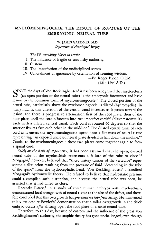 PDF extract preview