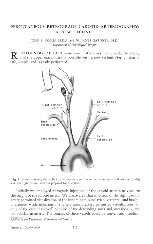 PDF extract preview