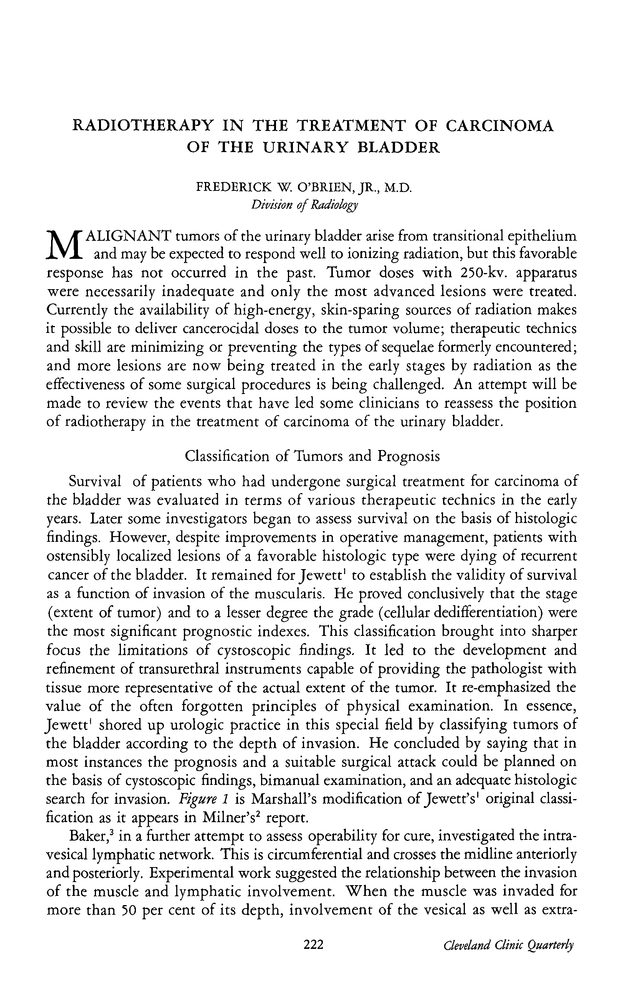 PDF extract preview