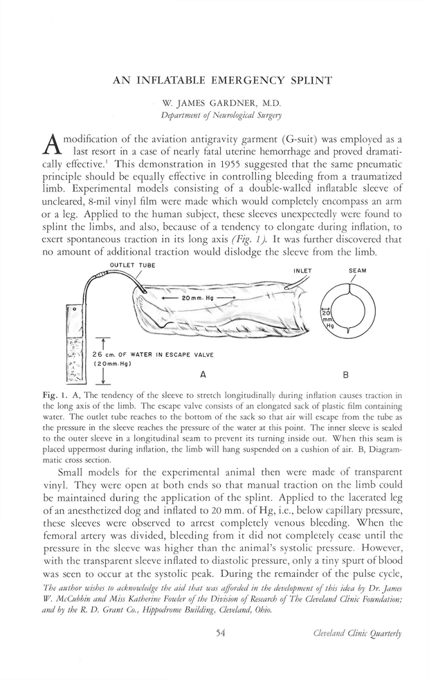 PDF extract preview