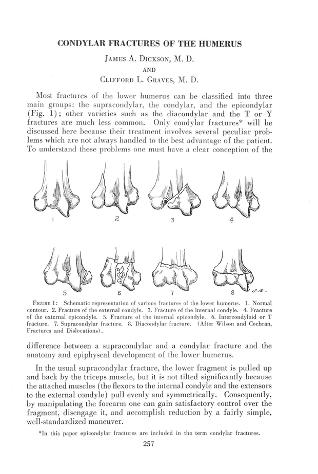 PDF extract preview