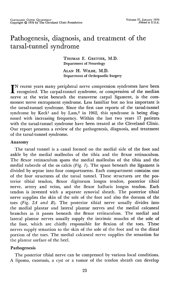 PDF extract preview