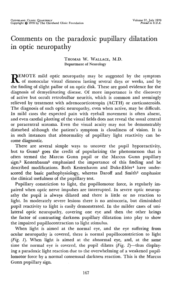 PDF extract preview