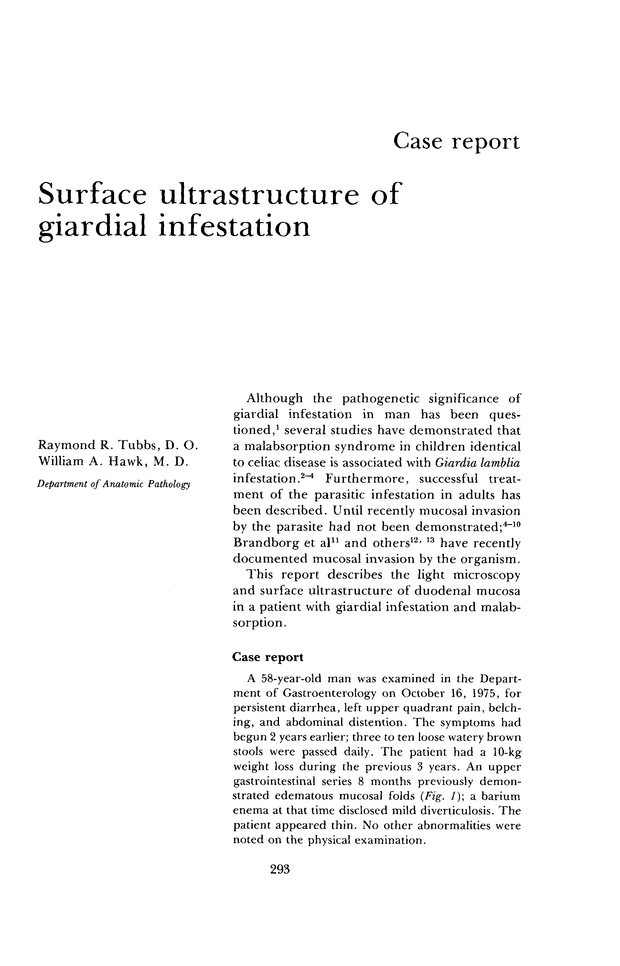 PDF extract preview
