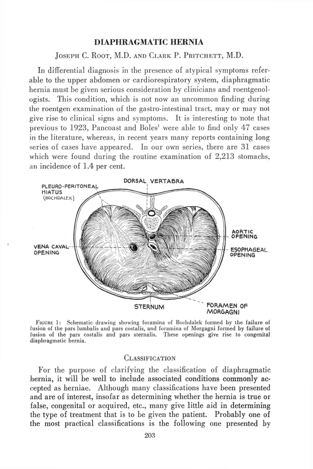 PDF extract preview