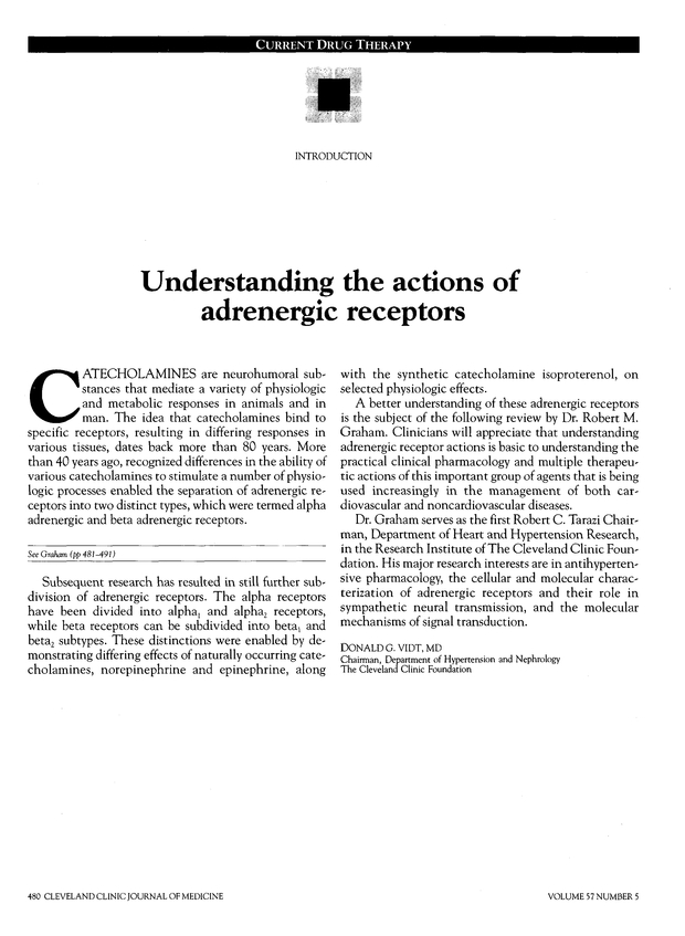 PDF extract preview