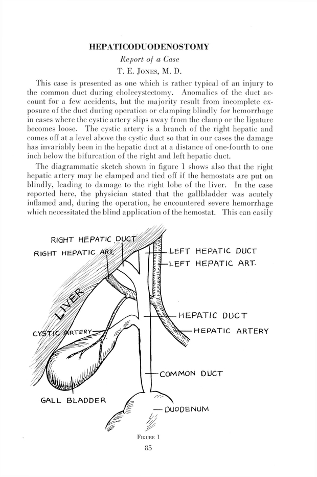 PDF extract preview