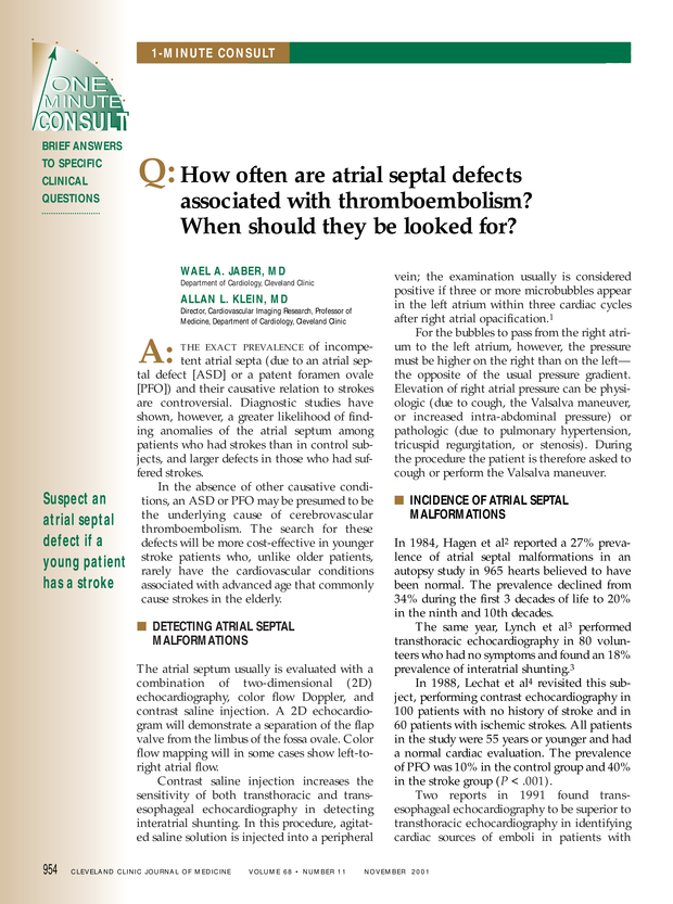 PDF extract preview
