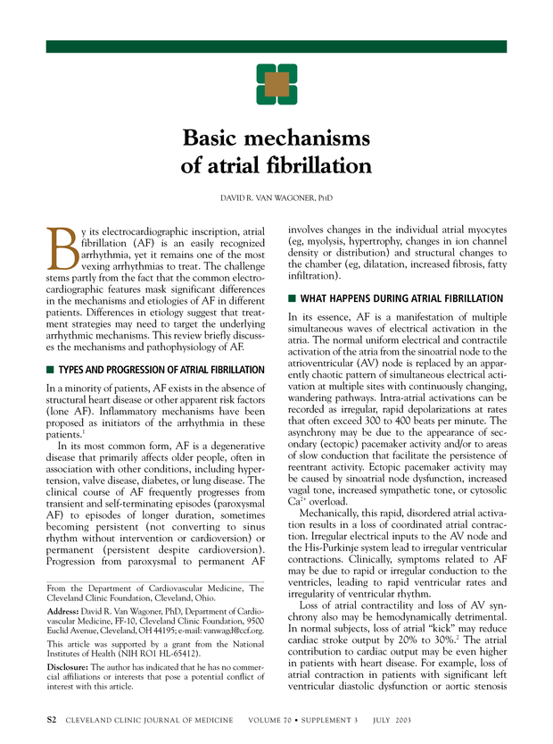PDF extract preview