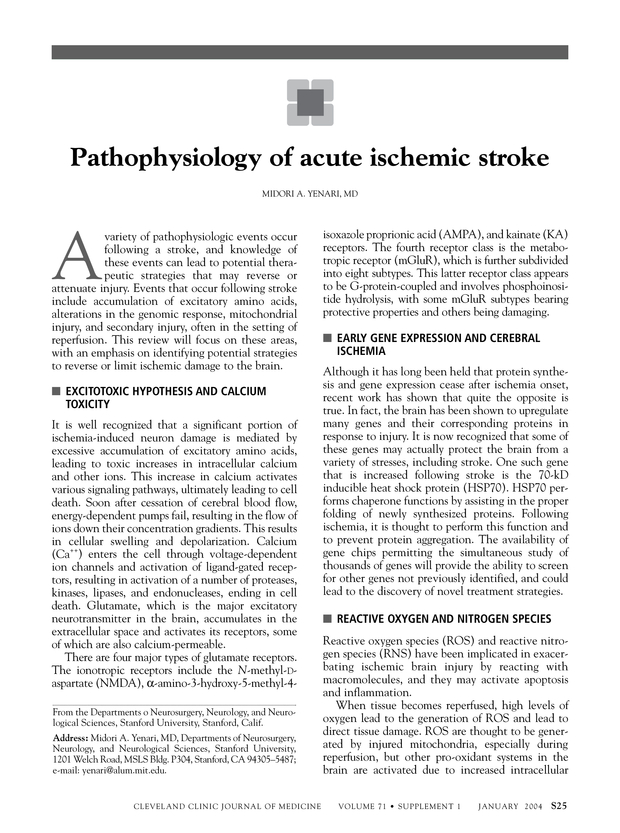 ischemic stroke pathophysiology