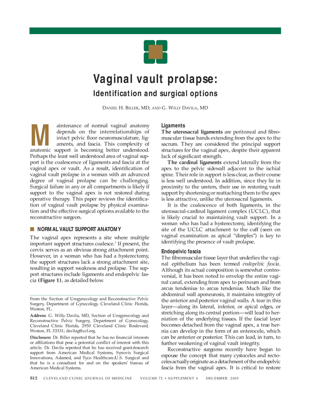 PDF extract preview
