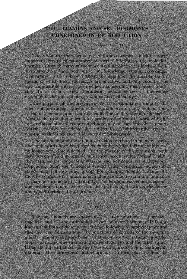 PDF extract preview