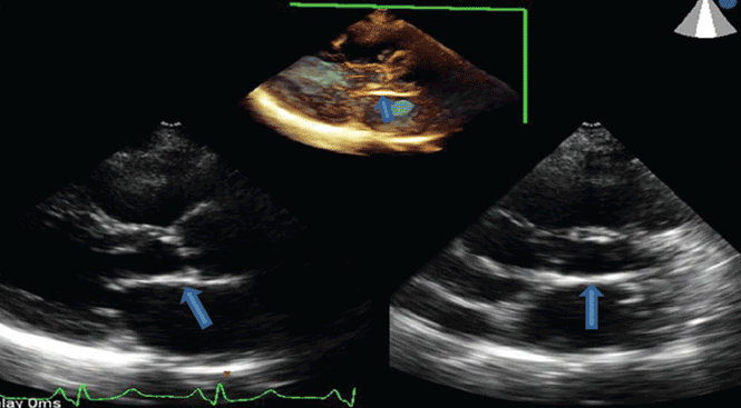 FIGURE 1