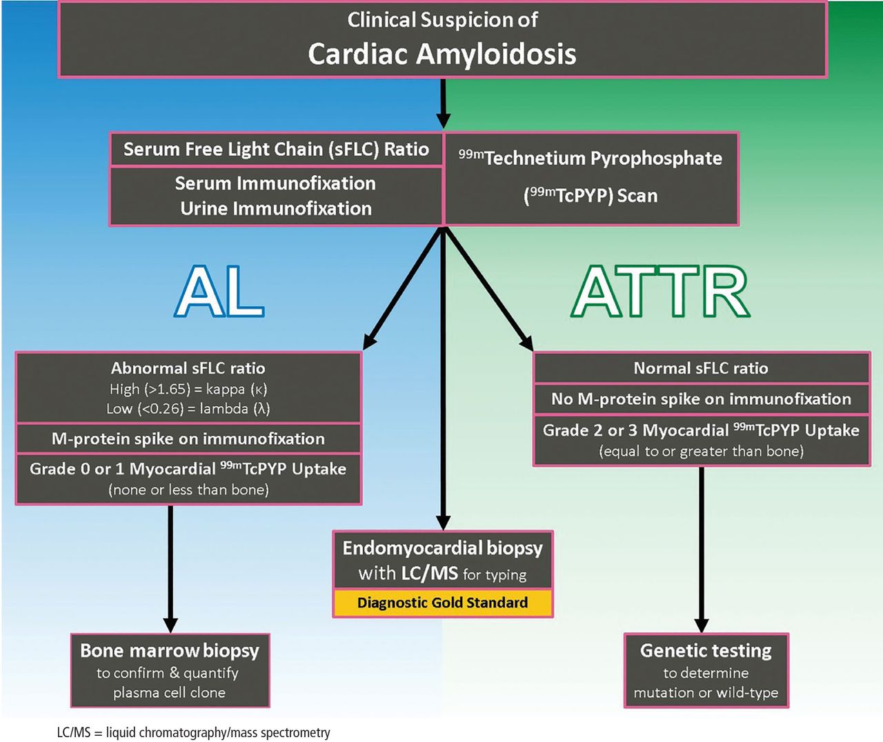 Diagnostic approach to cardiac amyloidosis: A case report