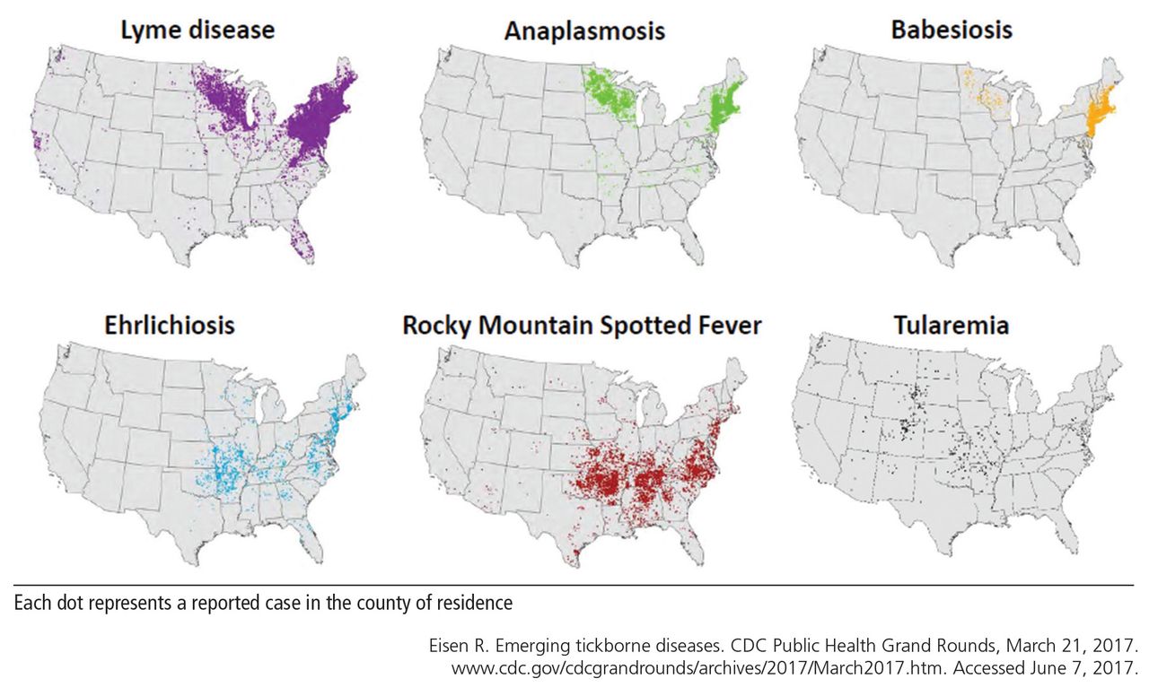 Rocky Mountain Spotted Fever Map Tickborne Diseases Other Than Lyme In The United States | Cleveland Clinic  Journal Of Medicine