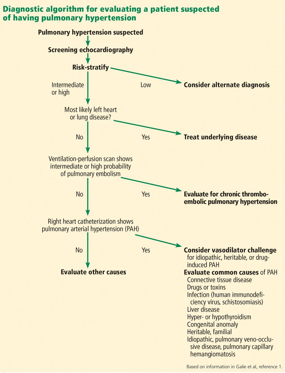 Evaluating suspected pulmonary hypertension A structured approach