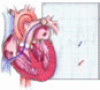 An elderly woman with shortness of breath