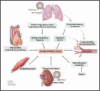 COVID-19 and the kidney