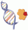 Pharmacogenomic testing: Relevance in medical practice