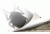 Bedbugs: Helping your patient through an infestation