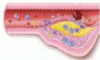 Anticoagulation and antiplatelet therapy in acute coronary syndromes