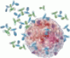 Omalizumab: Where does it fit into current asthma management?