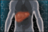 A guide to managing acute liver failure