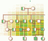 Family history: Still relevant in the genomics era