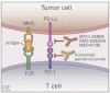 Dermatology update: The dawn of targeted treatment