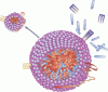 Demystifying triglycerides: A practical approach for the clinician